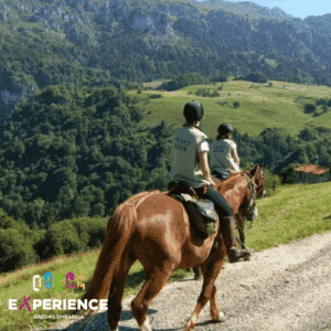 Hügel und Panoramen des Gardasees
