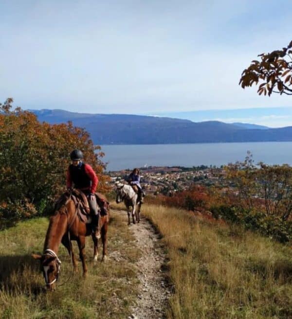 Gaino, Collina e Dintorni - immagine 4