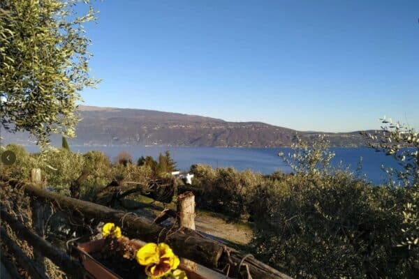 Gaino, Collina e Dintorni - immagine 3